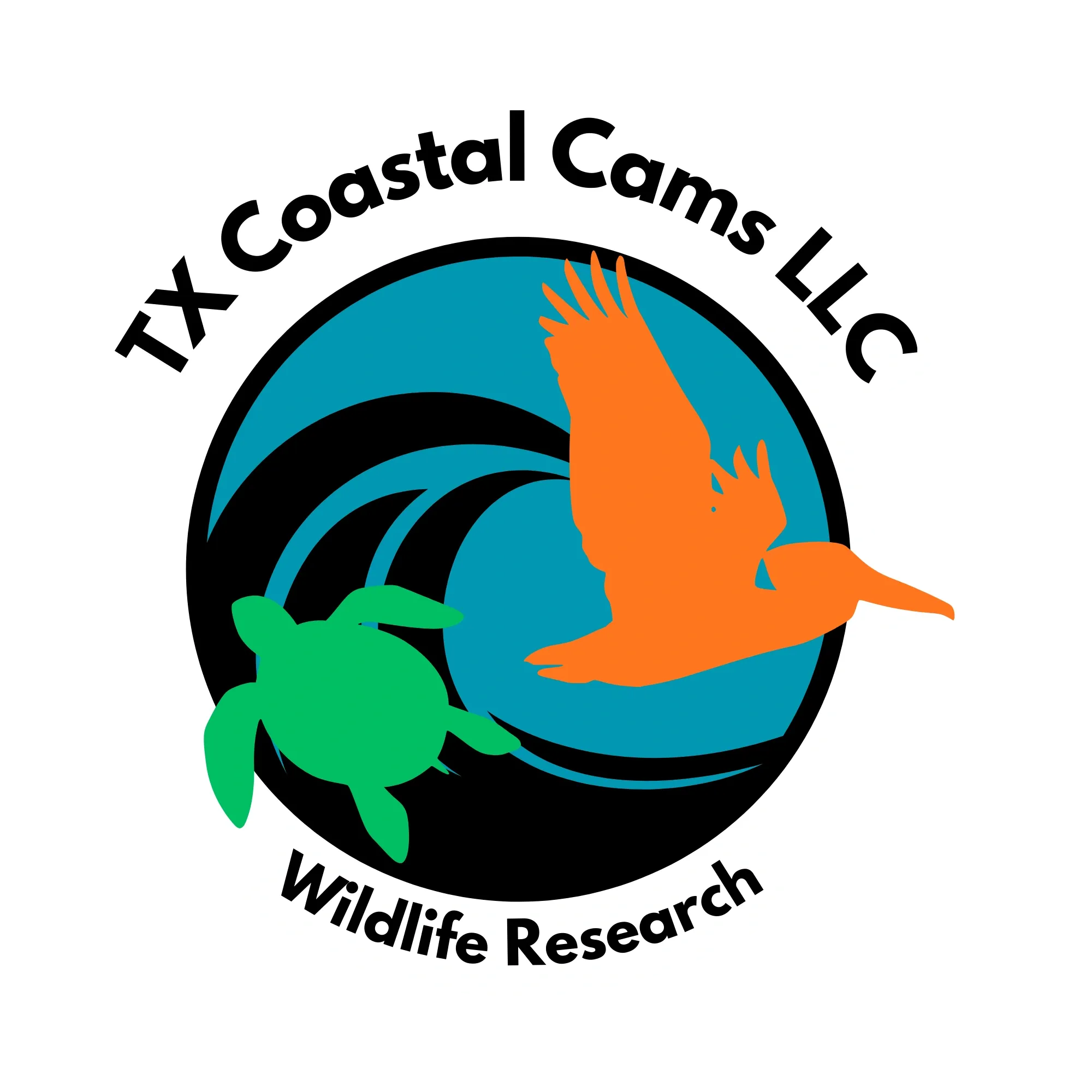 TX Coastal Cams Logo